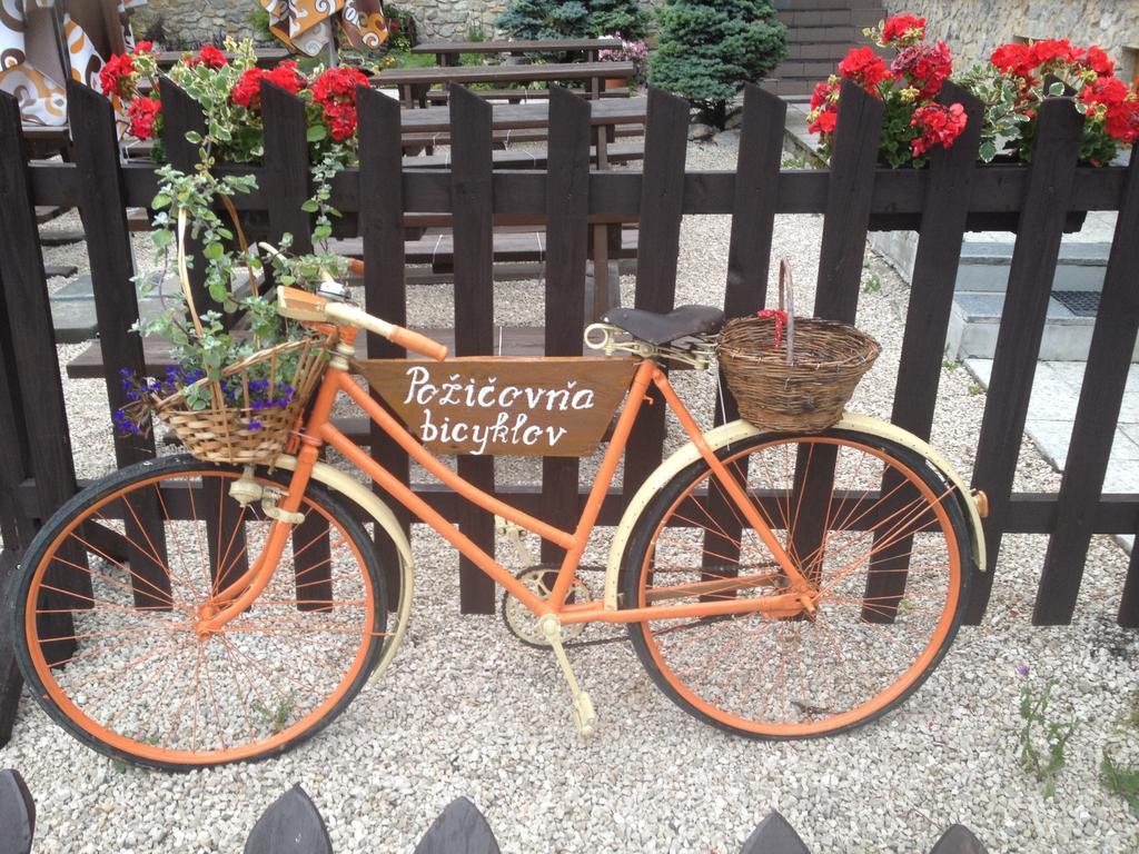 Penzion Javorina Čičmany Bagian luar foto