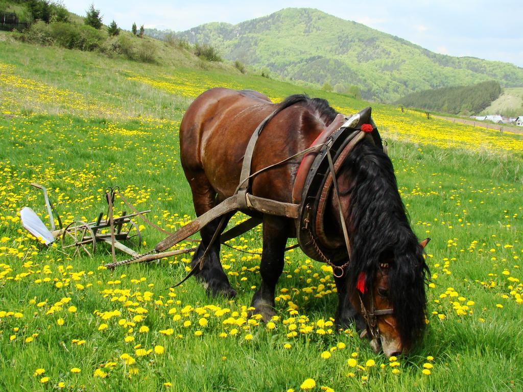 Penzion Javorina Čičmany Bagian luar foto