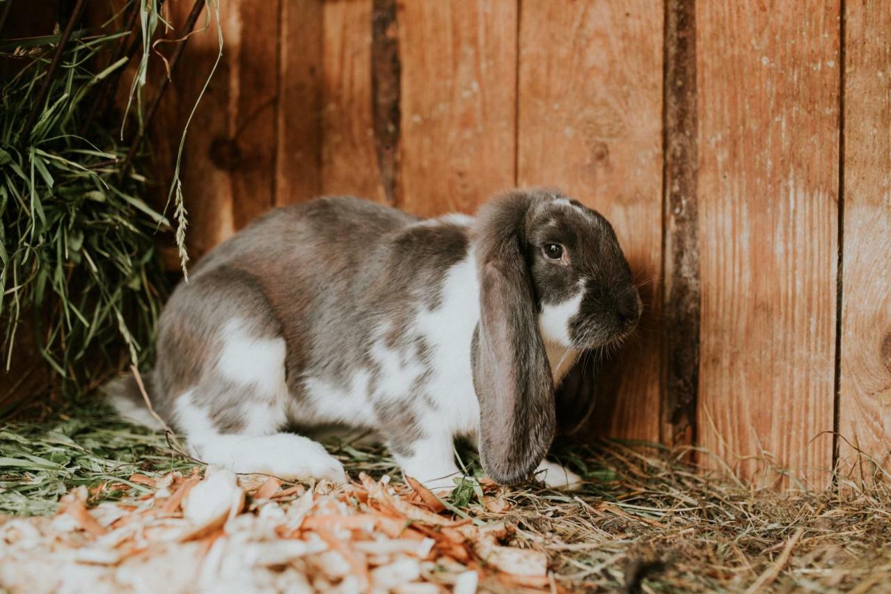 Penzion Javorina Čičmany Bagian luar foto